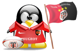 penguin pingouin pinguino 651